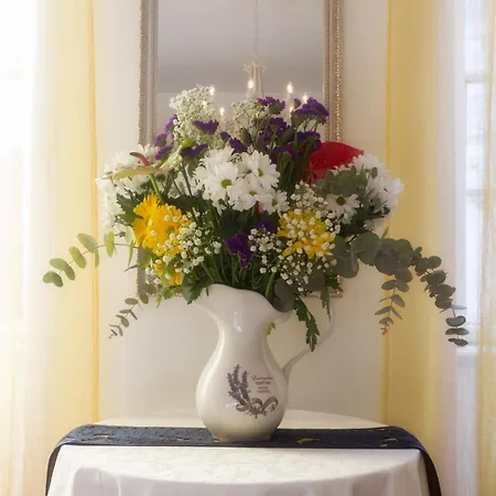 Ezekiel, Royal Blue Maison d'hôtes Split